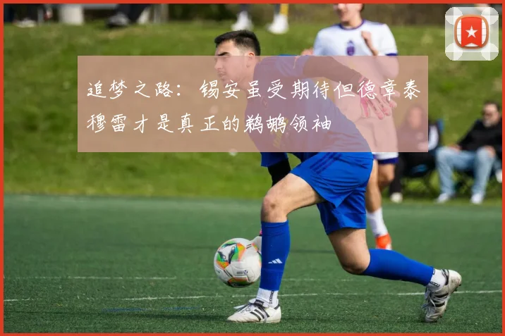 追梦之路：锡安虽受期待但德章泰穆雷才是真正的鹈鹕领袖
